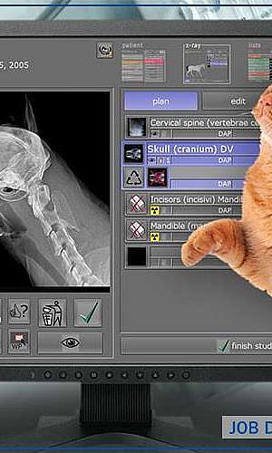 Sistema CR e DR de radiologia	 Sistema CR e DR de radiologia